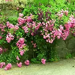 菲林克赛贝格公寓 * 利恩茨